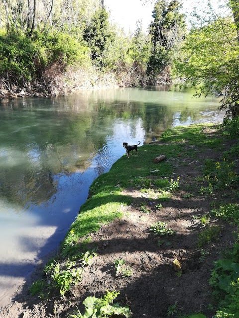 Naturreservatet i Aniene-dalen